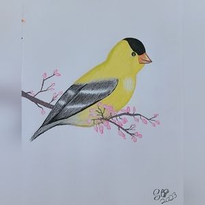 ORIGINAL OOAK American Goldfinch on Branch Painting on Paper (unframed)